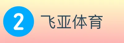 飞亚体育 logo